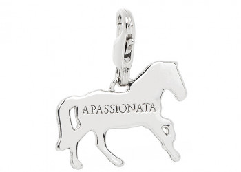Lederarmband-Logo-Sonderform-Silber-Charm-Anhaenger