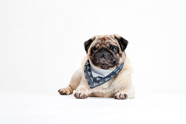 Bandana-Streuartikel