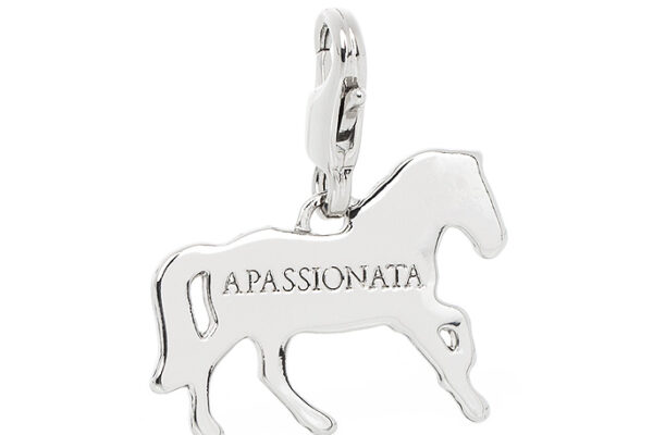 Lederarmband-Logo-Sonderform-Silber-Charm-Anhaenger