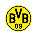 Referenser_Professionell idrottsklubb-BVB-Borussia-Dortmund
