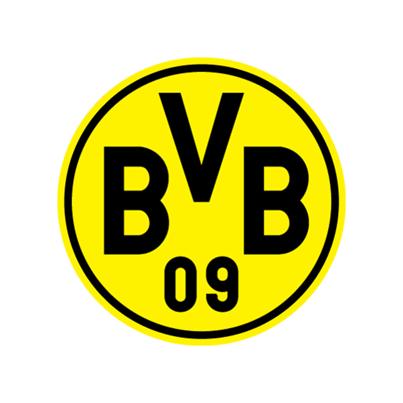 References_Professional sports club-BVB-Borussia-Dortmund