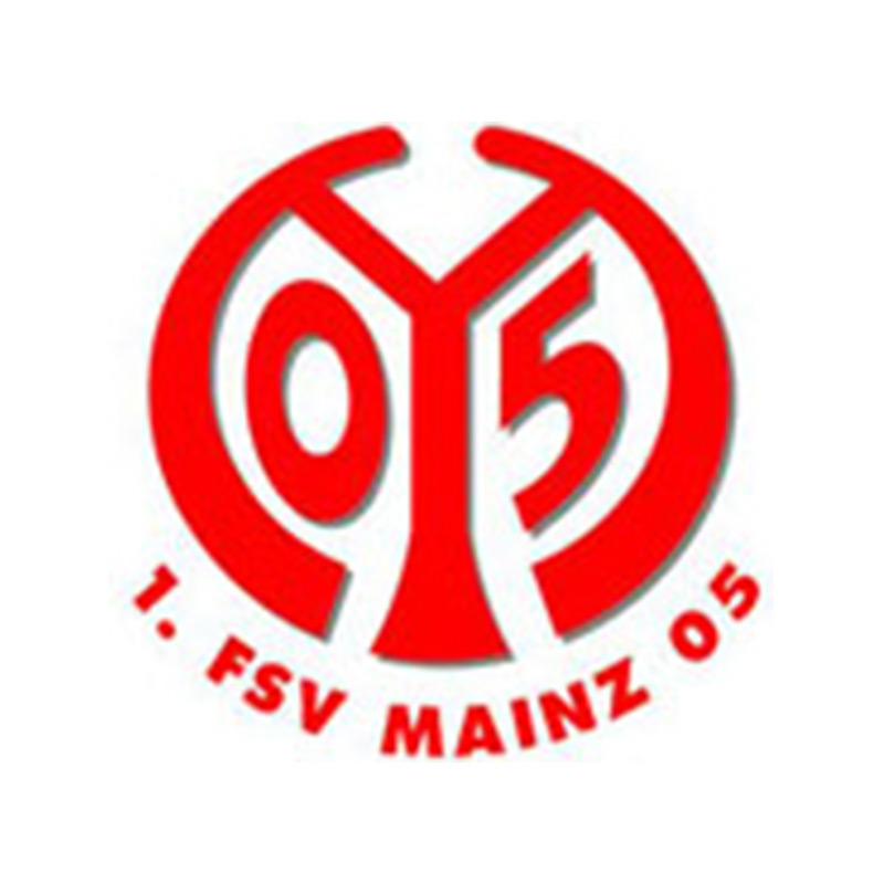 Referenzen_Profi-Sportverein-FSV MAINZ 05