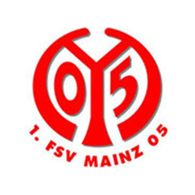 References_Professional sports club-FSV MAINZ 05