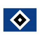 Referenser_Professionell idrottsklubb HSV Hamburg idrottsförening