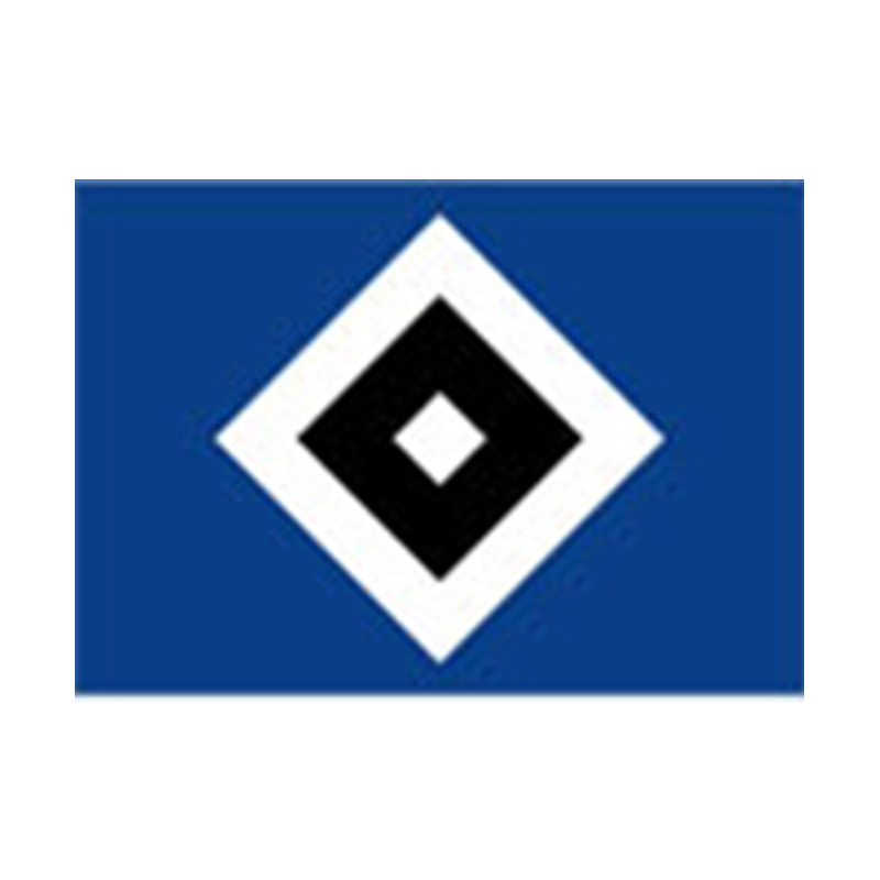 References_Professional sports club-HSV-Hamburger sports club